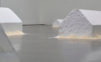 Der zarte Duft von Kiefernpollen