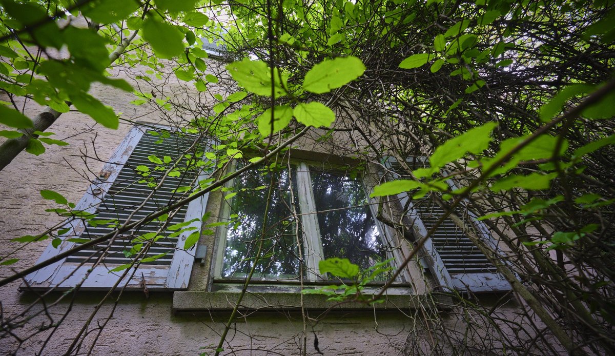 Zugewachsen.  Zugewachsen.