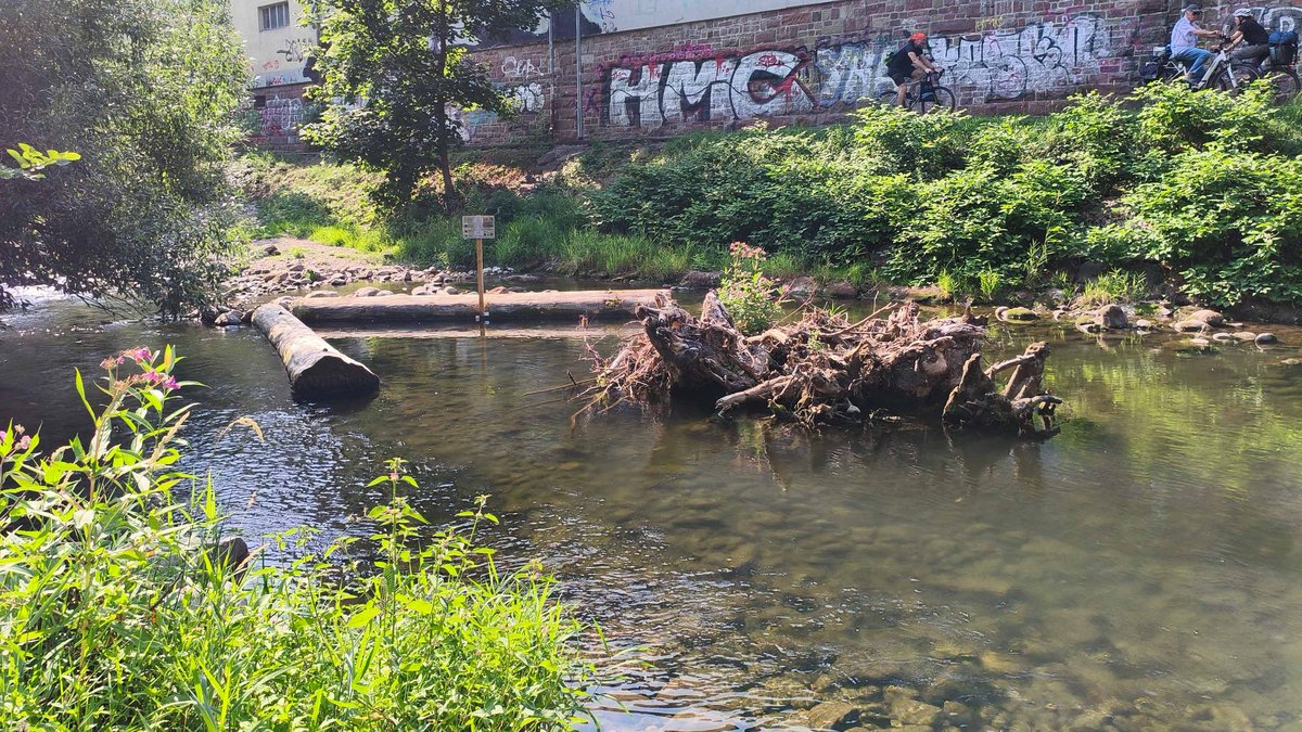 Kaltwasserpool in der Dreisam mit Badeverbotsschild. Foto: Ingo Kramer, LFVBW