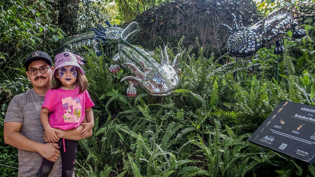 Das Anfibium-Museum im Chapultepec: Die kleine Isabella hat sich auf Axolotl schminken lassen, auch die Mütze passt. Da gucken die Tierchen.