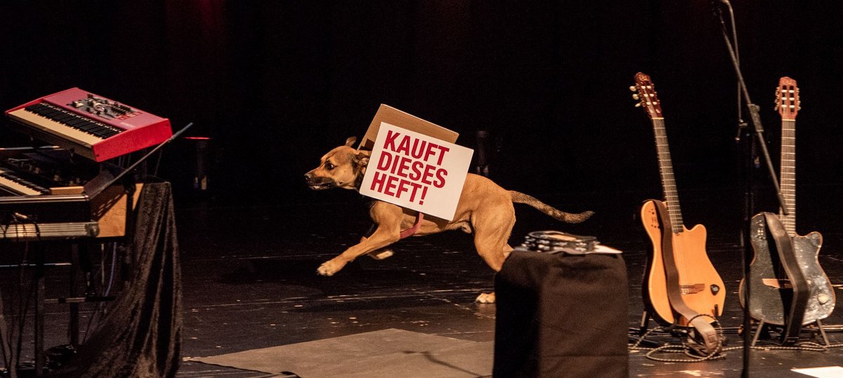 Einen Flitzer gab es auch: Redaktionshund Zwerg machte Werbung für den Kontext-Comic mit Ökodiktator und Karikaturen von Oliver Stenzel. Foto: Jens Volle  Einen Flitzer gab es auch: Redaktionshund Zwerg machte Werbung für den Kontext-Comic mit Ökodiktator und Karikaturen von Oliver Stenzel, <a href="https://www.kontextwochenzeitung.de/veranstaltungen/buchveroeffentlichungen.html" target="_blank">erhältlich hier</a>. Foto: Jens Volle