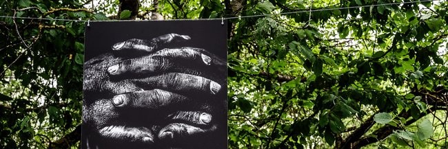 "Man konnte nirgends hingehen"