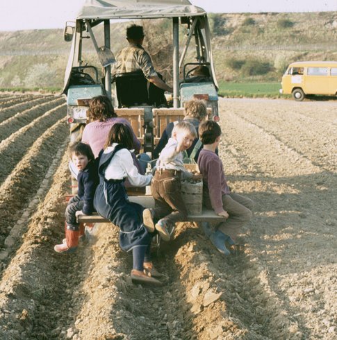 Die ganze Familie hilft mit: Wilhelm Rinklin senior 1985 mit Tochter und Enkeln beim Kartoffelnstecken.