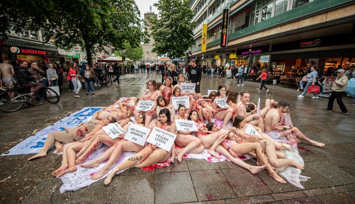 Peta auf der Königstraße, Stuttgarts Einkaufsmeile Nummer eins, in Sichtweite von McDonalds und Burger King. Fotos: Jens Volle