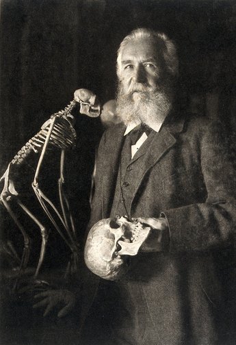 Ernst Heinrich Philipp August Haeckel. Heliogravüre von N. Perscheid, 1904. Foto: <a rel="nofollow" class="external free" href="https://wellcomecollection.org/works/fq9tg5bg">Wellcome Collection</a>, <a href="https://creativecommons.org/licenses/by/4.0" title="Creative Commons Attribution 4.0">CC BY 4.0</a>, <a href="https://commons.wikimedia.org/w/index.php?curid=36579904">Link</a></p>