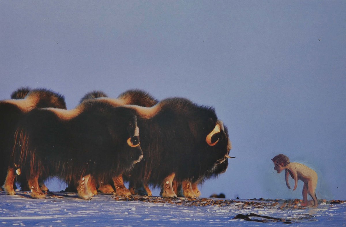 Die amerikanische Künstlerin Sunaura Taylor interessiert sich für Behinderte und Tiere – in der Serie "Wildlife" übermalt sie ein Tierbuch. Foto: Sunaura Taylor