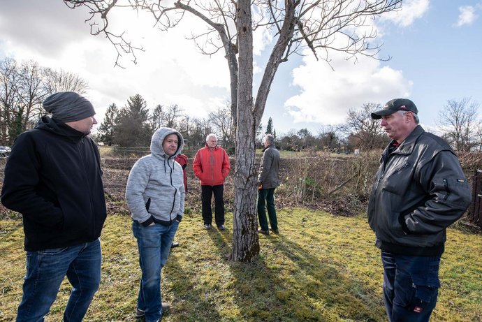 Trostlos (von links): Mike Saile, Oliver Matkovic, Andreas Goldmann, Hans Schinner und Slobodan Petrovic vor einer der gerodeten Flächen.