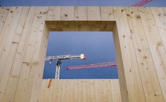 Gut Holz