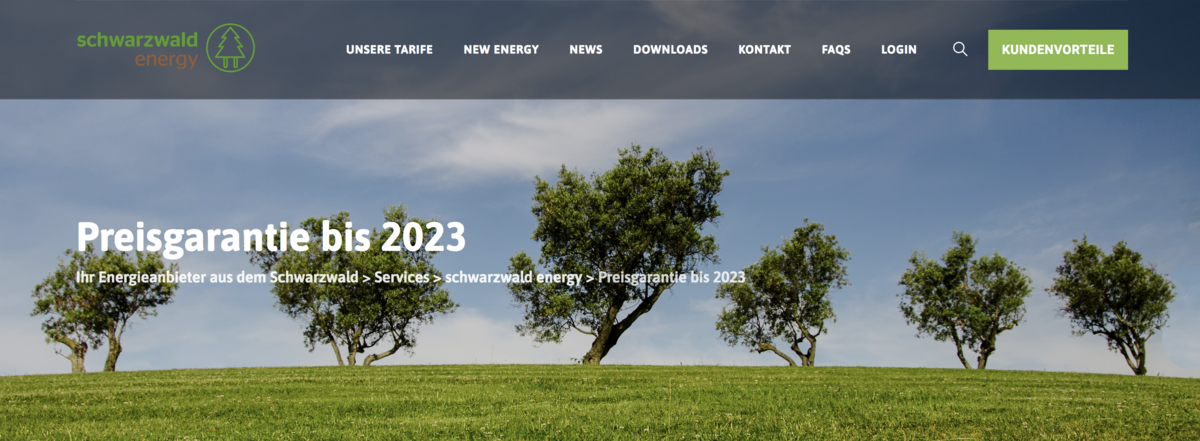 Glatt gelogen: Angebot auf der "Schwarzwald Energy"-Homepage. Screenshot: schwarzwald-energy.de Glatt gelogen: Angebot auf der "Schwarzwald Energy"-Homepage. Screenshot: schwarzwald-energy.de