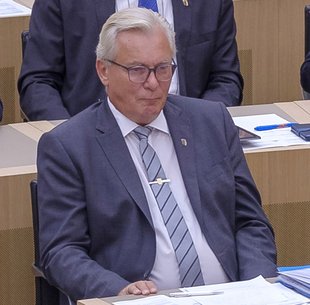 AfD-Fraktionschef Bernd Gögel