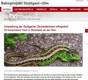 Angeblich erfolgreich: Eidechsenumsiedlung. Screenshot: www.bahnprojekt-stuttgart-ulm.de
