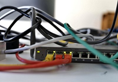 Schau mal, wer da schnüffelt. Foto: Joachim E. Röttgers