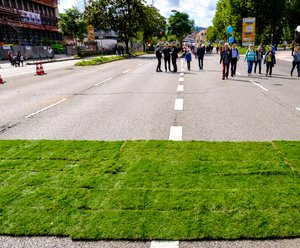 Zweimal grün auf der B14: Rollrasen...