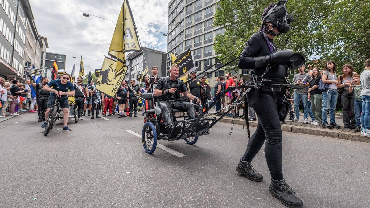 Ein stolzes Stuttgarter Rössle. 