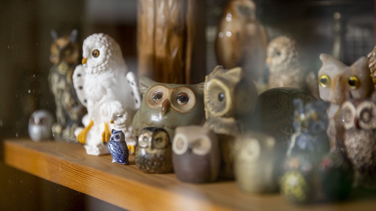 Die Eulensammlung der Vogelstation. Die Eulensammlung der Vogelstation.