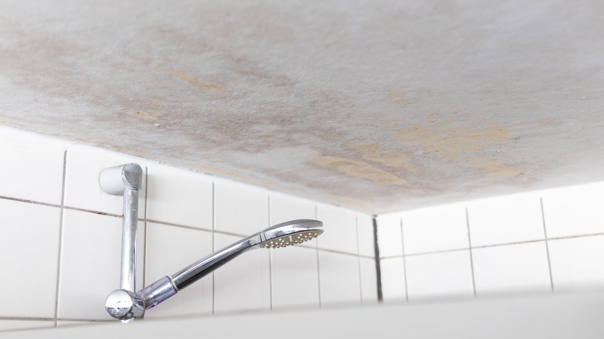 Im Wohnheim schimmelt die Decke in den Nasszellen – und nicht nur da. Foto: Julian Rettig