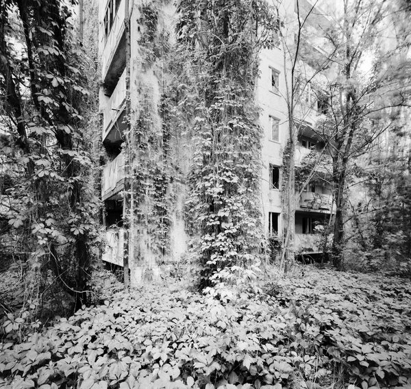 Sperrzone von Tschernobyl/Pripyat, 2016. Foto: Volker Kreidler