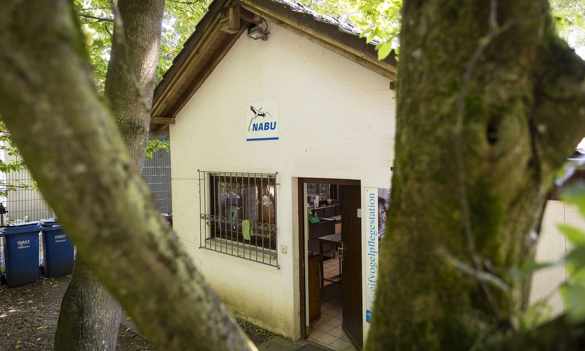 ... ist er das Wappentier des Hausherrn. ... ist er das Wappentier des Hausherrn.