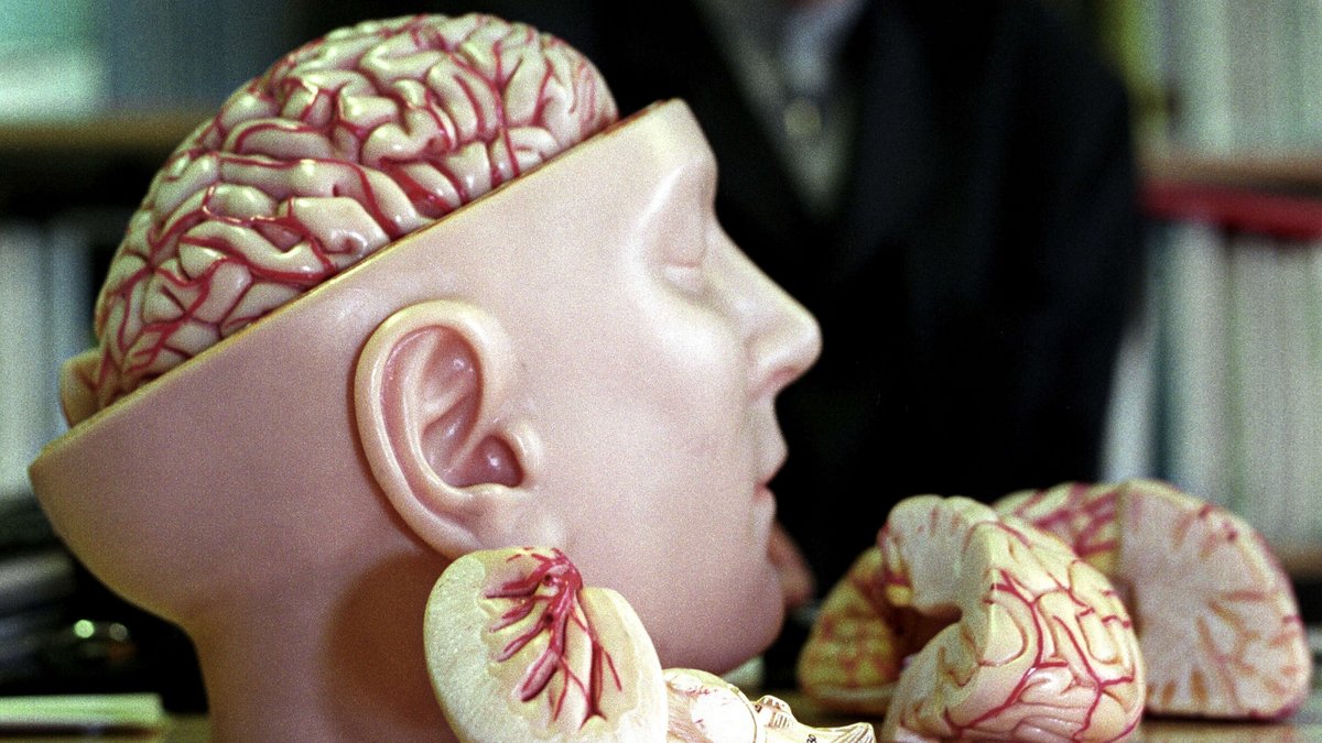 Muss in die Reparatur. Foto: Joachim E. Röttgers Muss in die Reparatur. Foto: Joachim E. Röttgers