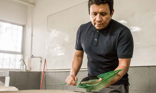 José Antonio Ocampo Cervantes mit ... genau.