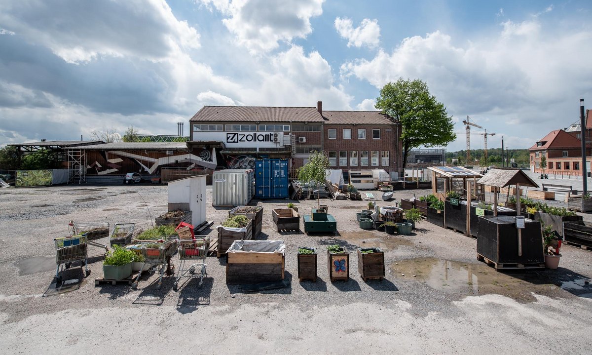 Das Inselgrün. Mehr Fotos (alle von Jens Volle) mit Klick aufs Bild.