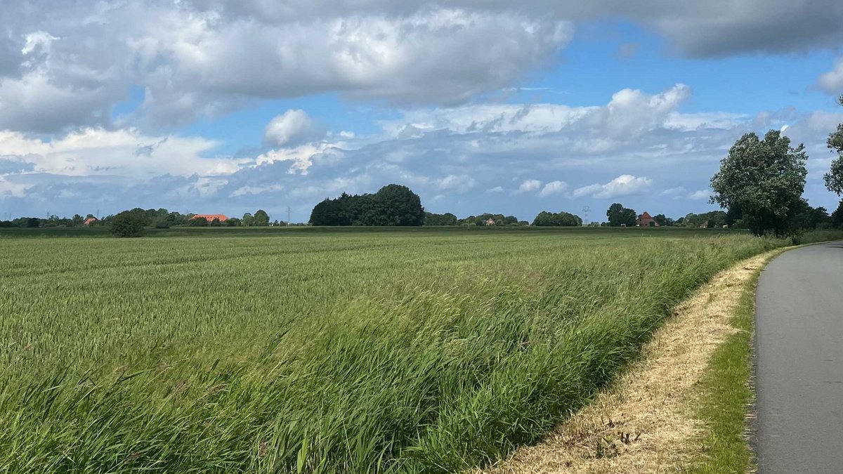 Unser Kolumnist ist aufs Land geflüchtet, genauer: nach Ostfriesland. Fotos: Joe Bauer