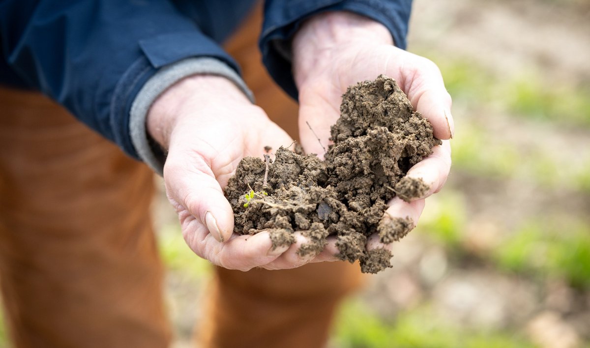 Ein Herz für gesunden, fruchtbaren Boden: "Er ist das wertvollste Kapital auf diesem Planeten", sagen die Webers.