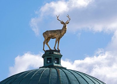 Wacht seit 1913 auf der Kunstgebäudekuppel: Ludwig Habichs goldener Hirsch. Foto: Joachim E. Röttgers