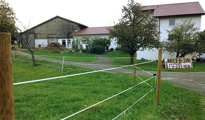 Auf dieser Oferdinger Wiese sollen die Container aufgestellt werden. Foto: Redaktion