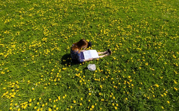 Werden zukünftige SchülerInnengenerationen auch pädagogisch auf Blumen gebettet sein? Abwarten. Werden zukünftige SchülerInnengenerationen auch pädagogisch auf Blumen gebettet sein? Abwarten.