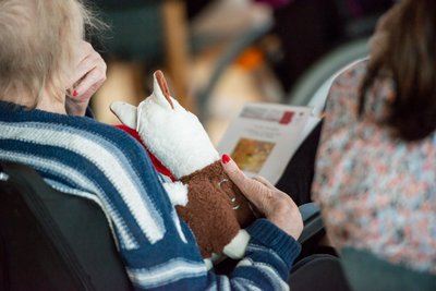 Auch Lamas mögen Mozart.  Auch Lamas mögen Mozart.