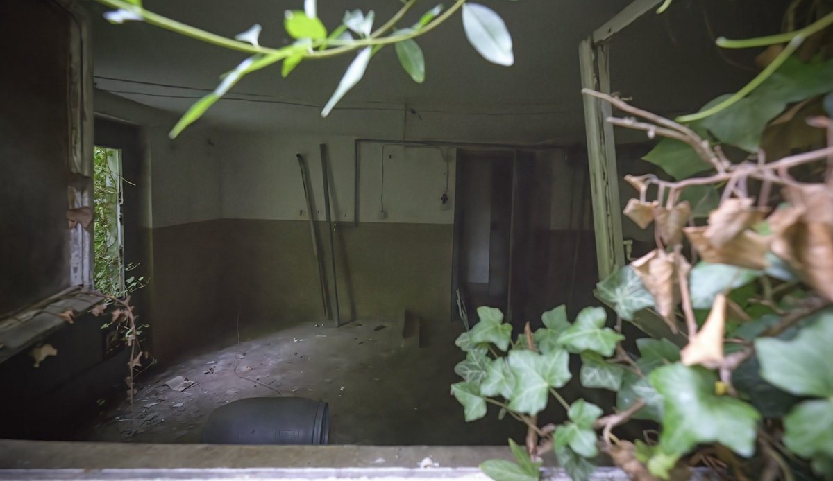 Blick in den Keller.  Blick in den Keller.