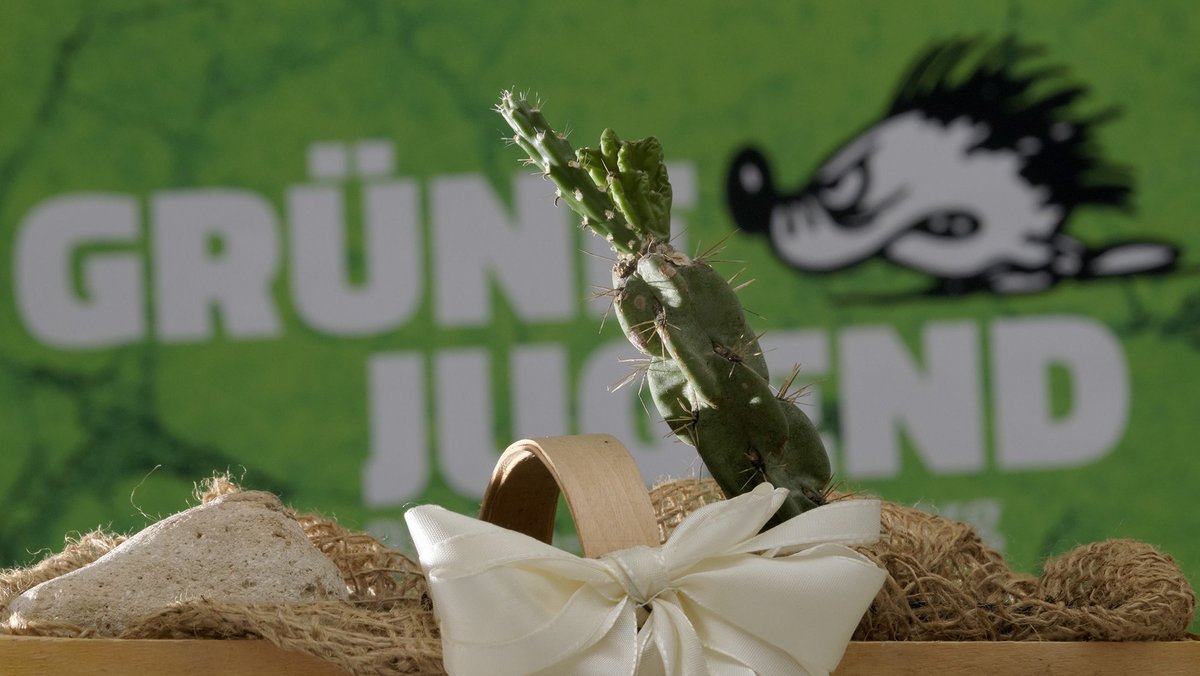 Die Grüne Jugend setzt sich für Geflüchtete ein und demonstrierte gegen die Abbaggerung von Lützerath. Manchen alten Grünen passt das gar nicht. Foto: Joachim E. Röttgers  Die Grüne Jugend setzt sich für Geflüchtete ein und demonstrierte gegen die Abbaggerung von Lützerath. Manchen alten Grünen passt das gar nicht. Foto: Joachim E. Röttgers