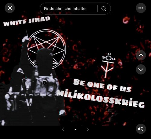 In sozialen Netzwerken rufen Accounts zum "White Jihad" auf. Screenshot: TikTok