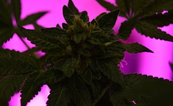 Im Zweifel den Krankenwagen rufen!