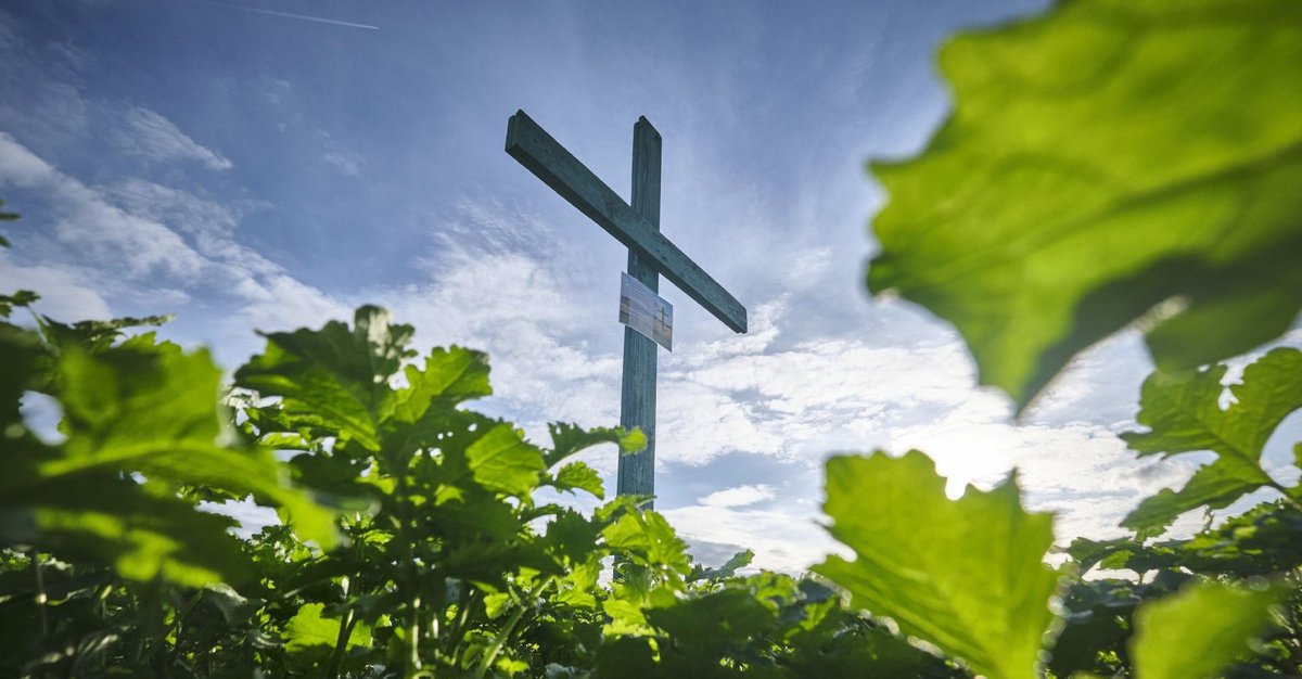 Grünes Kreuz auf einem Acker bei Stuttgart-Möhringen. Fotos: Joachim E. Röttgers