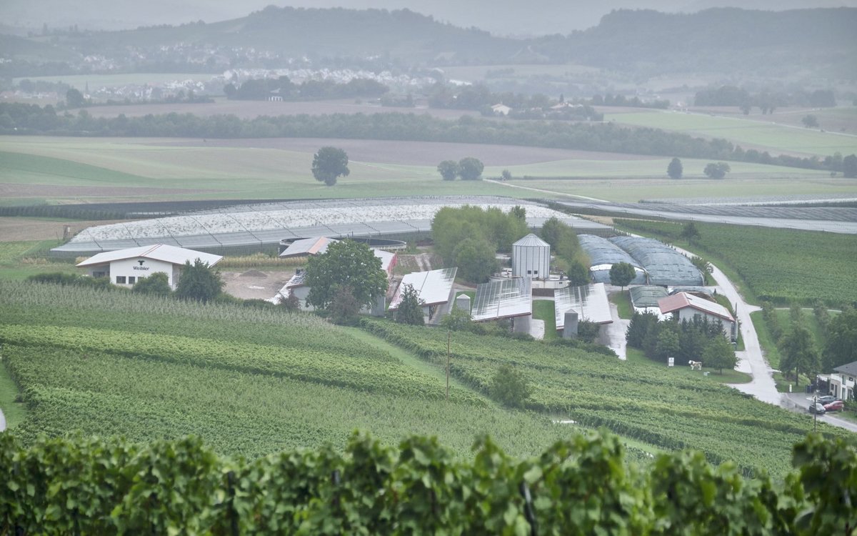 ... der Hof mit Biogasanlage und Bullenzucht von Familie Weibler.