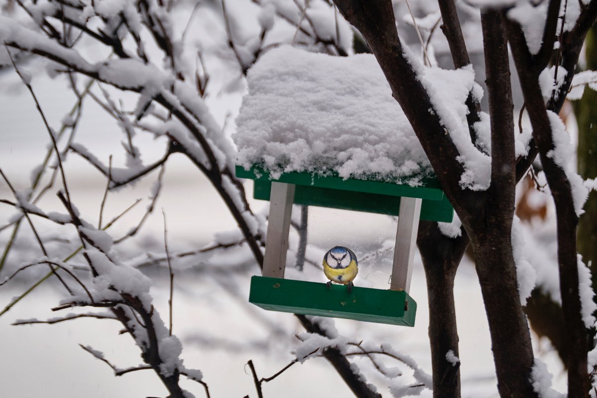 Pfeifen im Walde: Mit ordentlich Tamtam will die Klimaliste die Grünen vom Thron holen. Fotos: Joachim E. Röttgers Pfeifen im Walde: Mit ordentlich Tamtam will die Klimaliste die Grünen vom Thron holen. Fotos: Joachim E. Röttgers