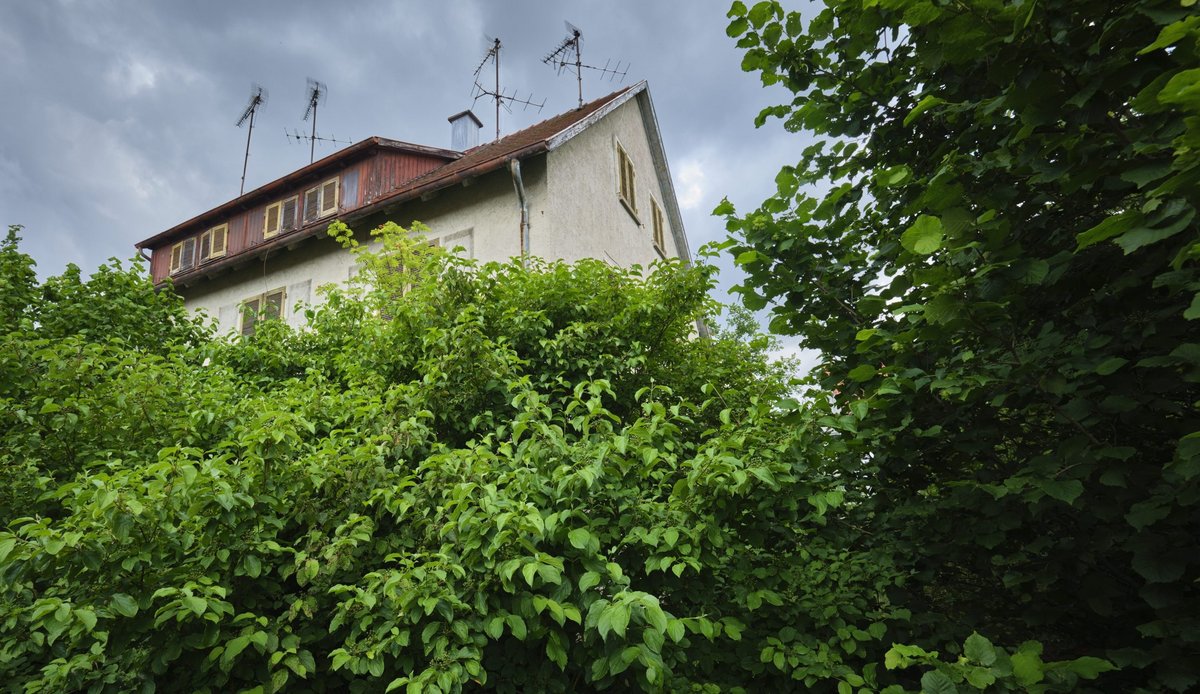 Wie fanden Sie das Haus? Unter sehr viel Gestrüpp.  Wie fanden Sie das Haus? Unter sehr viel Gestrüpp.