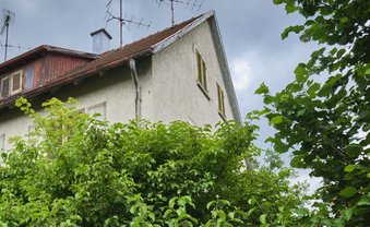 Leerstand im Dschungel