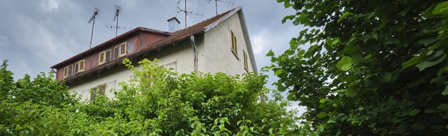 Leerstand im Dschungel