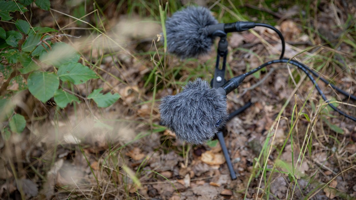 Ein Mikrofon steht auf dem Boden, ...