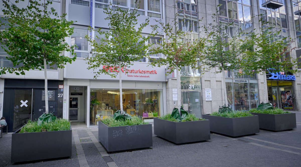 Für das Weindorf mussten die mobilen Bäume vorübergehend umziehen. Foto: Joachim E. Röttgers Für das Weindorf mussten die mobilen Bäume vorübergehend umziehen. Foto: Joachim E. Röttgers