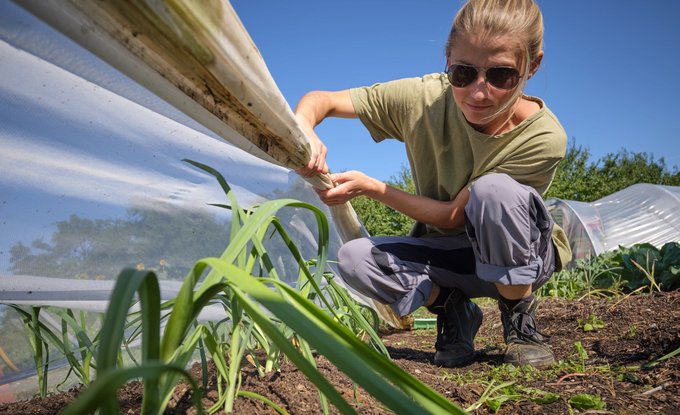 Gemüsegärtnerin Freya schaut nach dem Lauch.