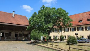 Knast-Weingut Staatsdomäne Hohrainhof. Foto: Steve Przybilla