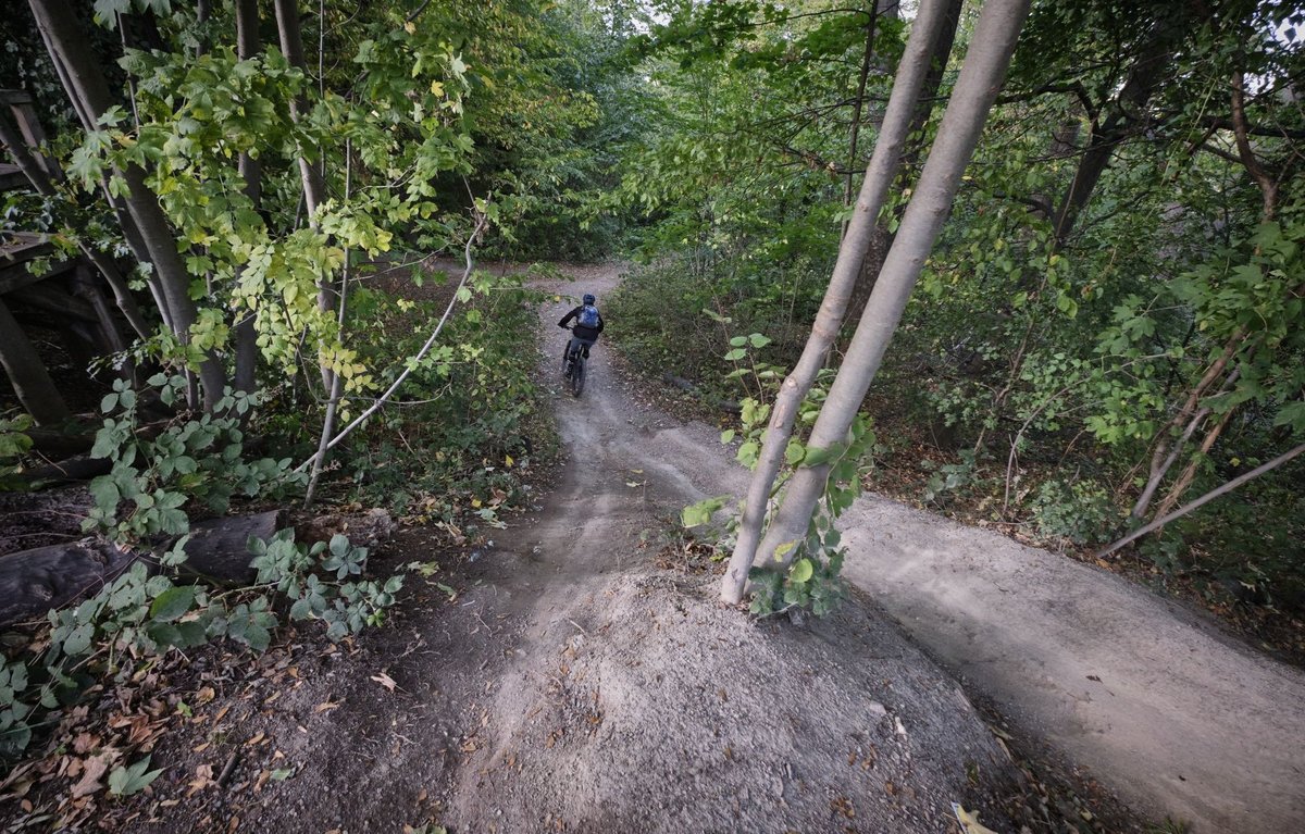 Der Trail in Stuttgart-Degerloch wurde 2015 eröffnet. Die Stadt ließ sich die Strecke 175.000 Euro kosten.