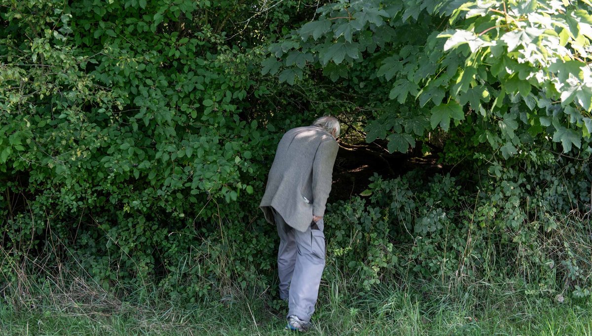 Wer in den Wald will, muss sich der verwilderten Natur beugen. 