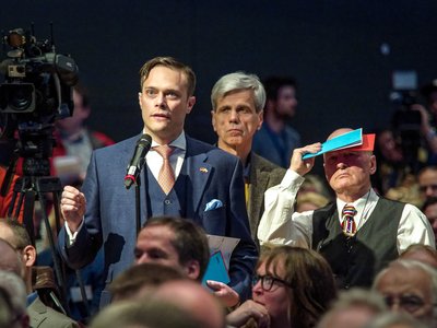 Gedeon (Mitte) auf dem AfD-Bundesparteitag. Foto: Martin Storz