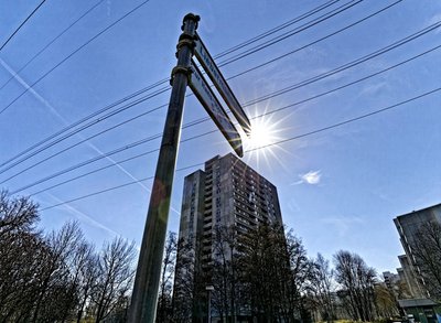 Zwischen den Hochhäusern wuchern die Ängste in die Höhe.