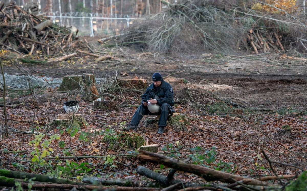 ... macht Pause. Ruhe findet er dort, wo kein Baum mehr steht.